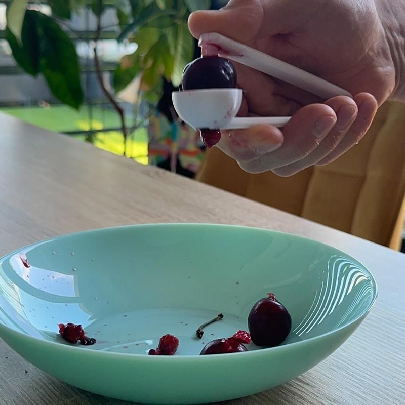 Alat Penghilang Biji Buah Cher - Kitchen Gadgets To 3D Print ulasan dan harga