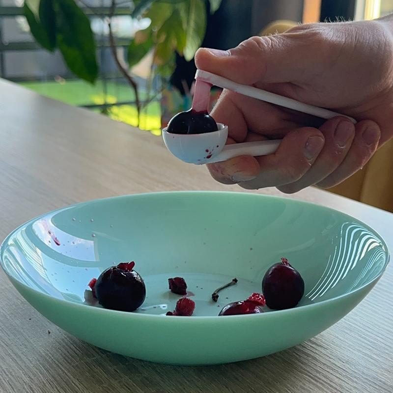 Alat Penghilang Biji Buah Cher - Kitchen Gadgets To 3D Print ulasan dan harga