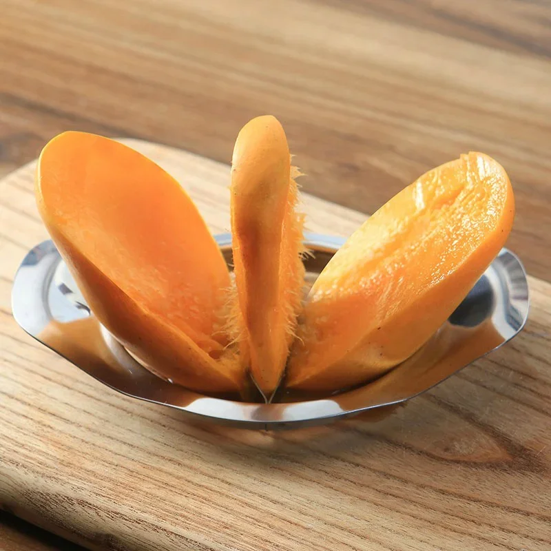 Alat pemotong biji mangga Stai - Apple Corer Slicer ulasan dan harga