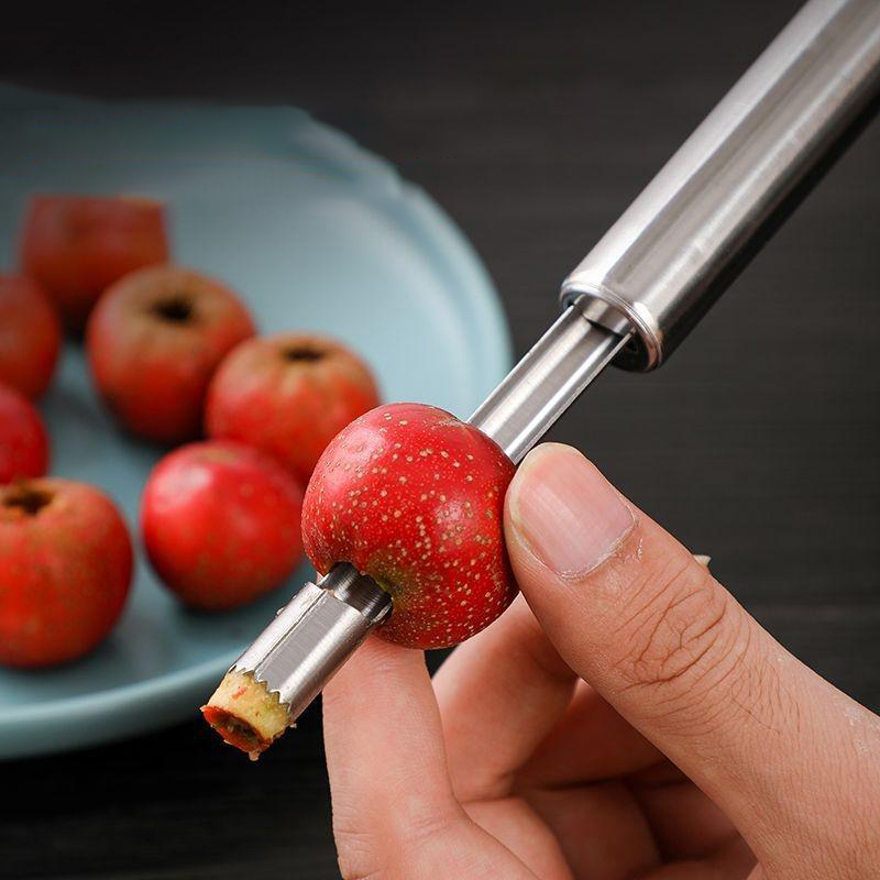 Alat Pengupas Biji Apel dari B - Apple Corer Slicer ulasan dan harga